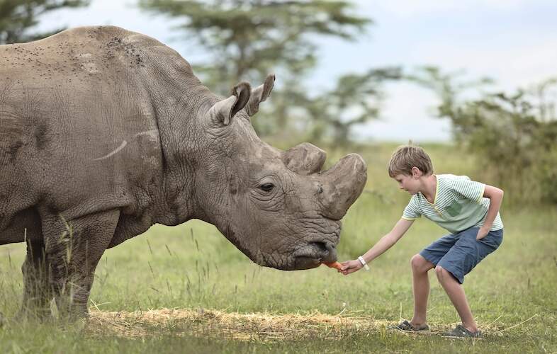 Family safari destinations