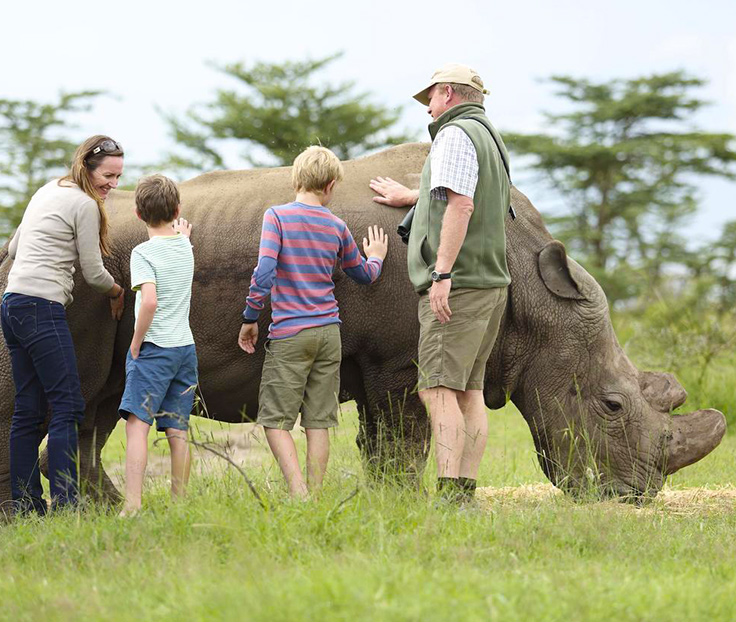 Family safaris logistics