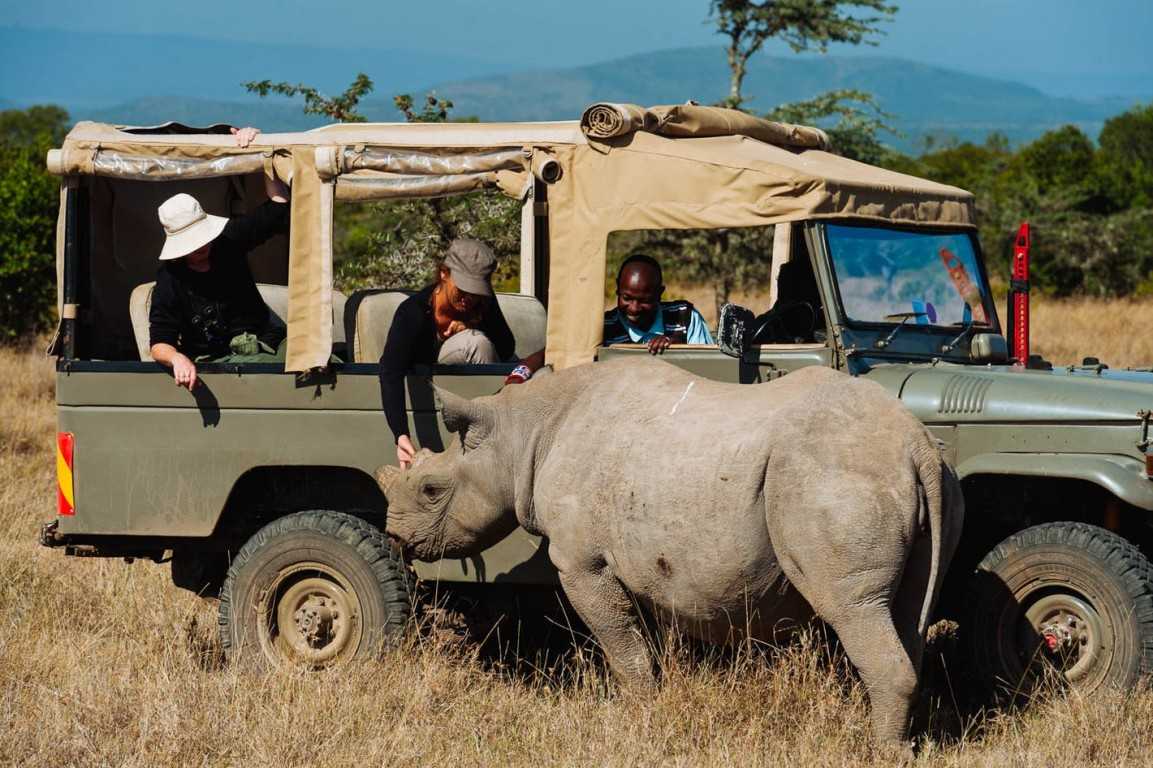 Best Safari Parks in Kenya for First-Time Visitors 5 Ol pejeta conservancy