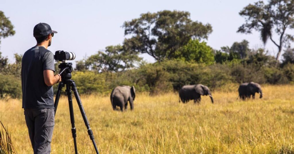 Safari Photography Tips for Beginners 1 safari photography