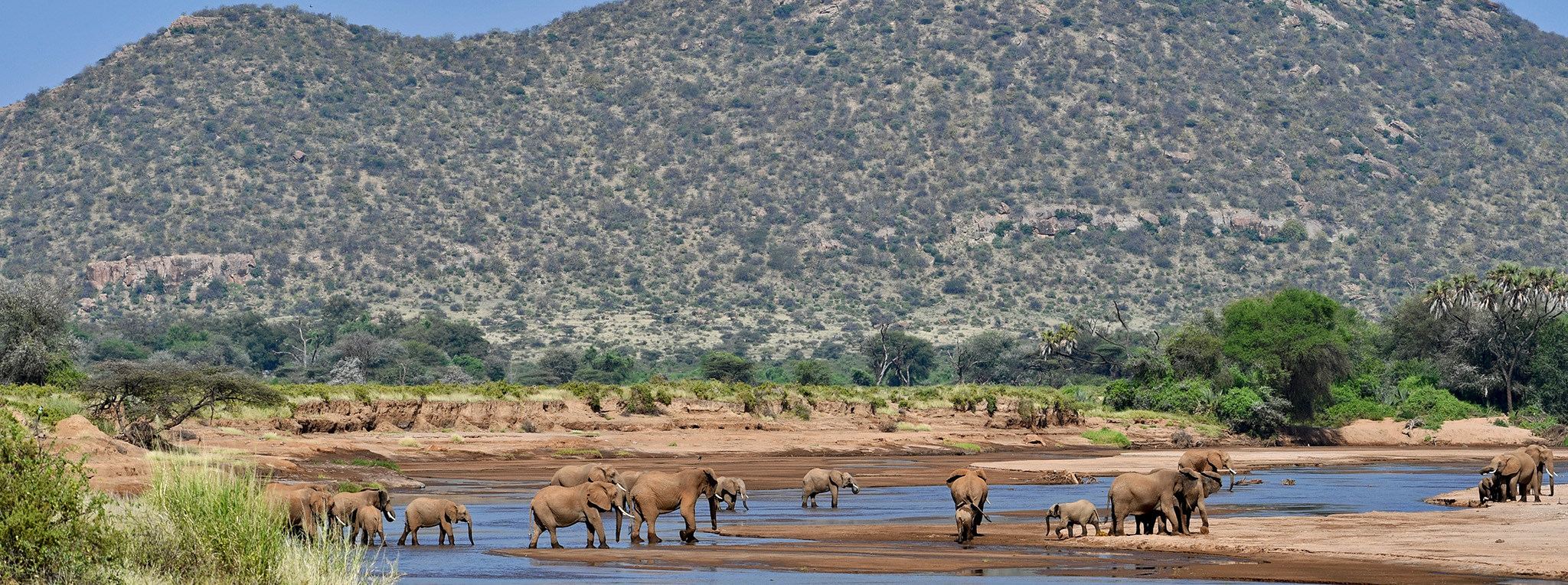 Best Safari Parks in Kenya for First-Time Visitors 3 Samburu National Reserve