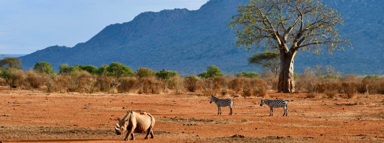 Tsavo East vs Tsavo West: Differences Explained