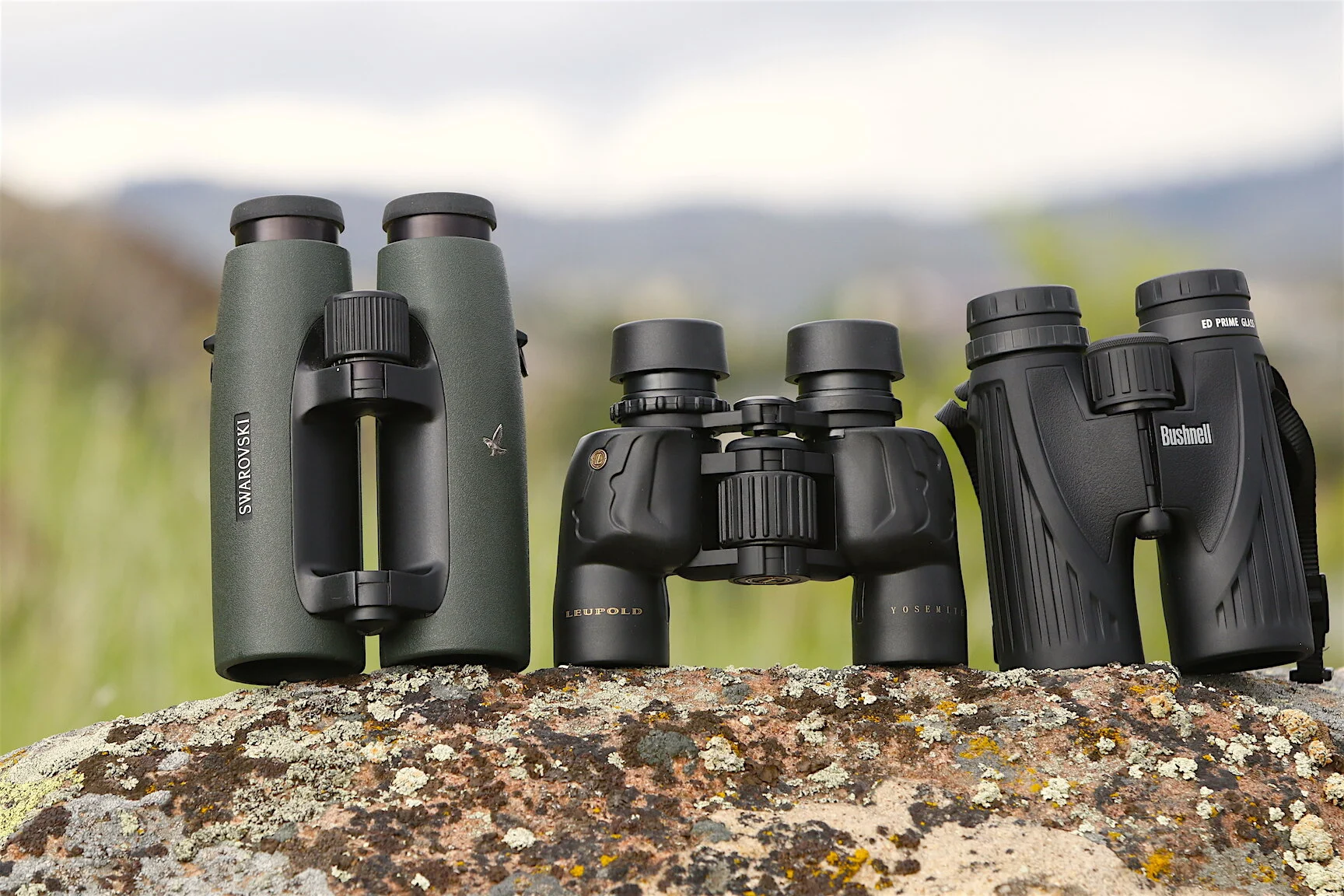 Best Birding Sites Tanzania Kenya