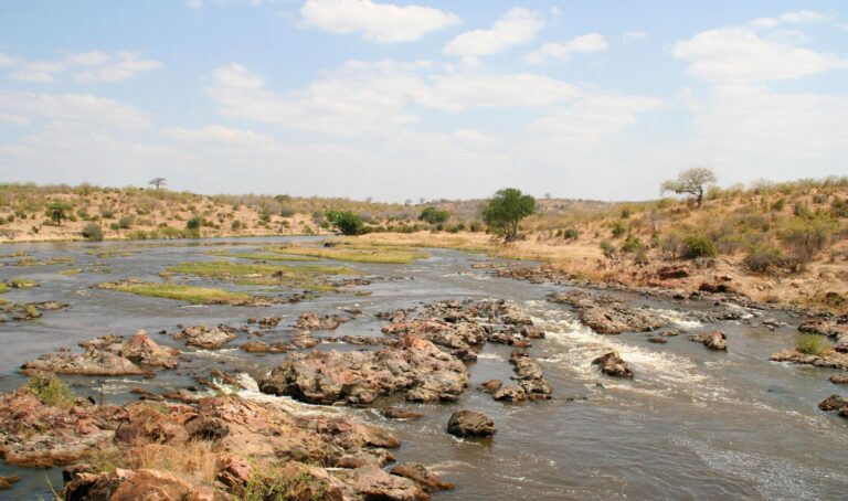 Hidden Gems in Tanzania: Lesser-Known Safari Destinations