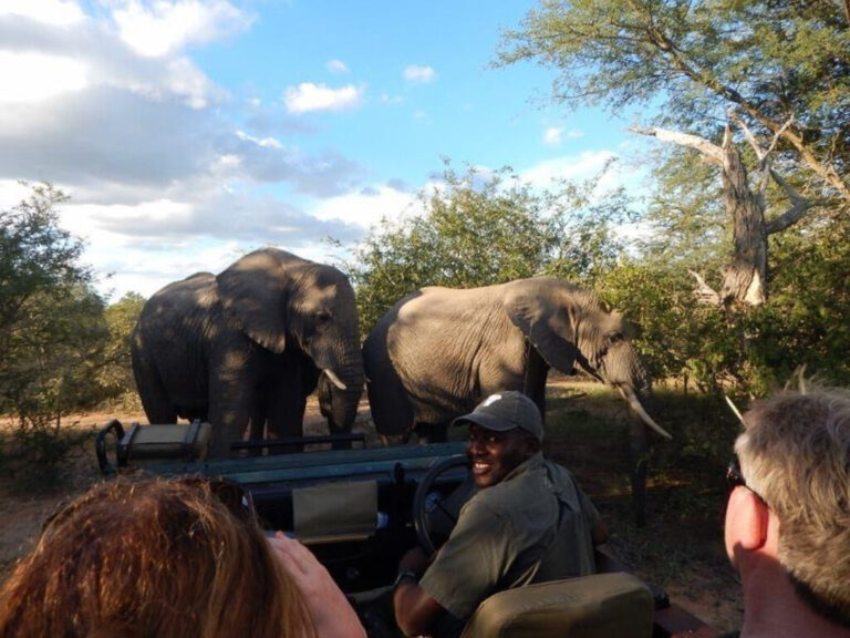 The Role of a Professional Safari Guide in Your Experience