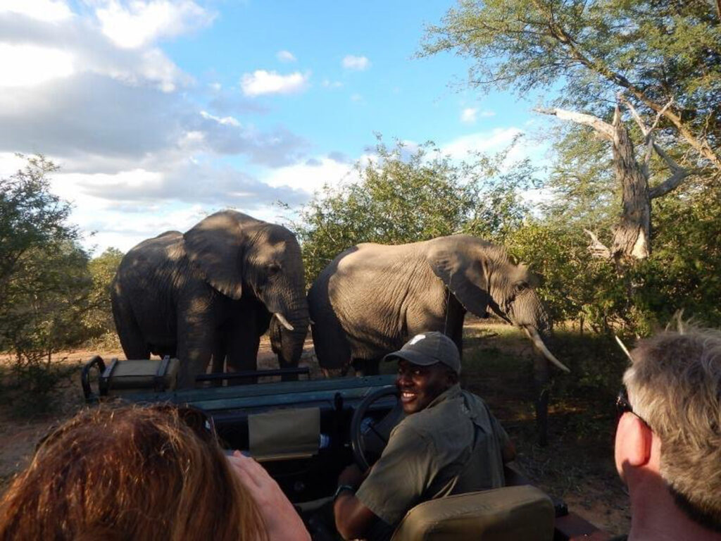 The Role of a Professional Safari Guide in Your Experience 4 professional safari guide