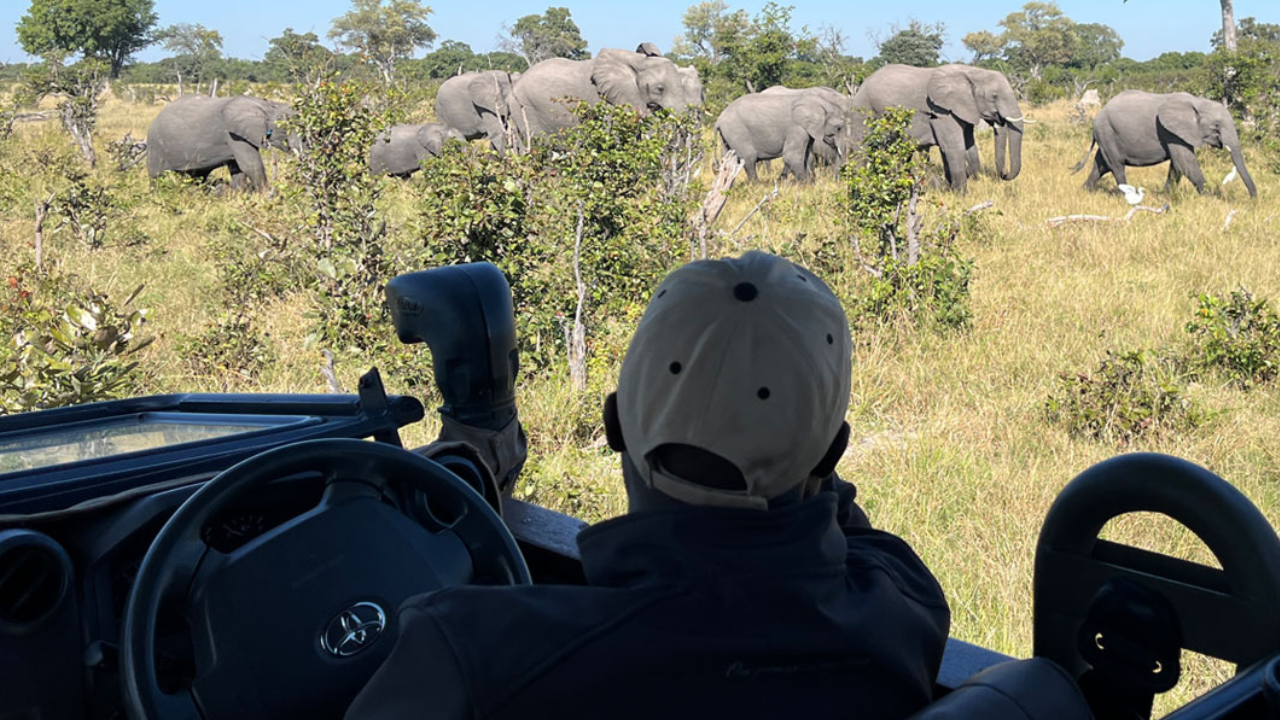 The Role of a Professional Safari Guide in Your Experience 1 safari guiide role