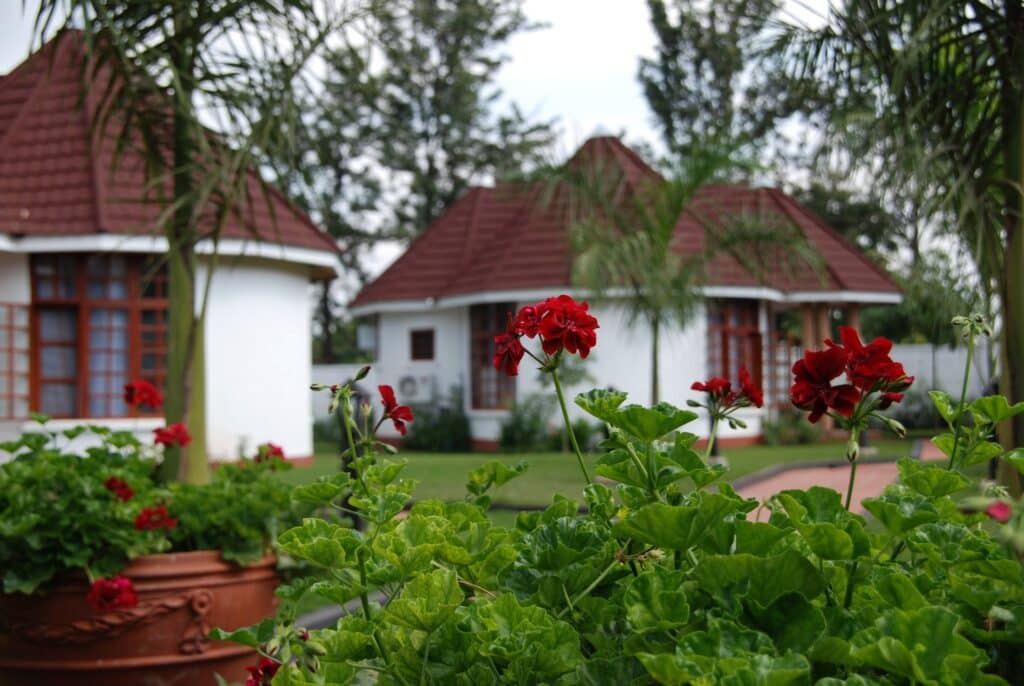 Salinero Hotel Kilimanjaro – Mid-Range Hotel in Moshi, Tanzania
