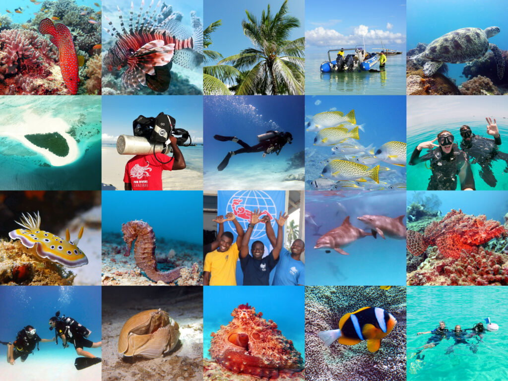 Snorkelling and Diving in Zanzibar: A Complete Guide 2 Snorkelling diving Zanzibar