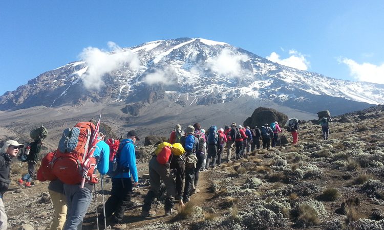 Best Time to Climb Mount Kilimanjaro