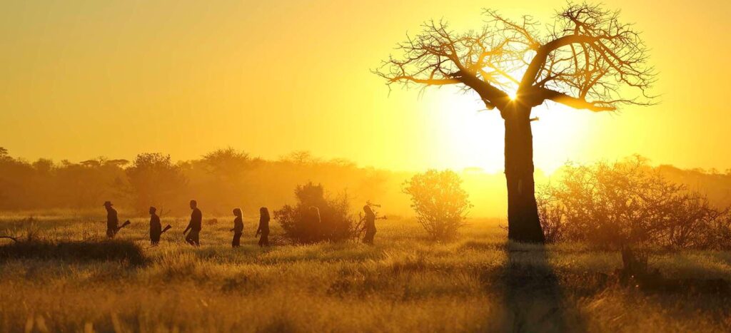walking safaris in Tanzania