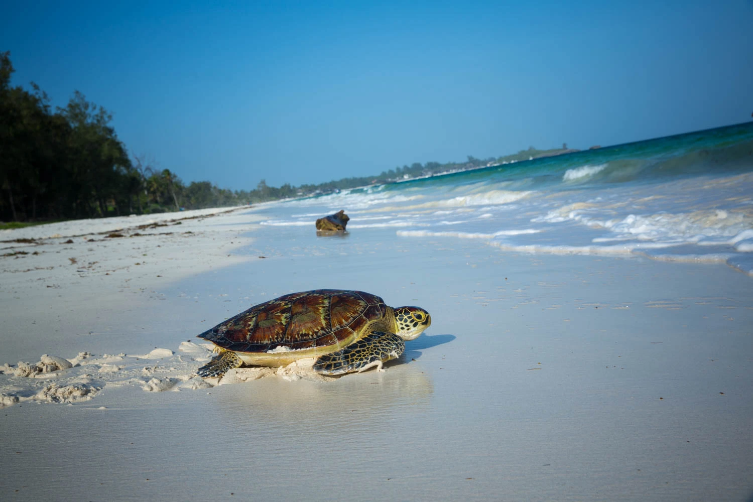Best Beach Kenya