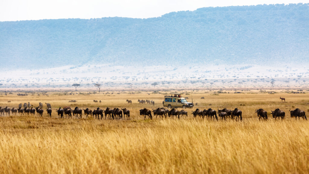Panoramic view of Ngorongoro Crater | Ngorongoro Conservation Area from the rim showing the vast caldera floor with Lake Magadi and wildlife herds Tanzania