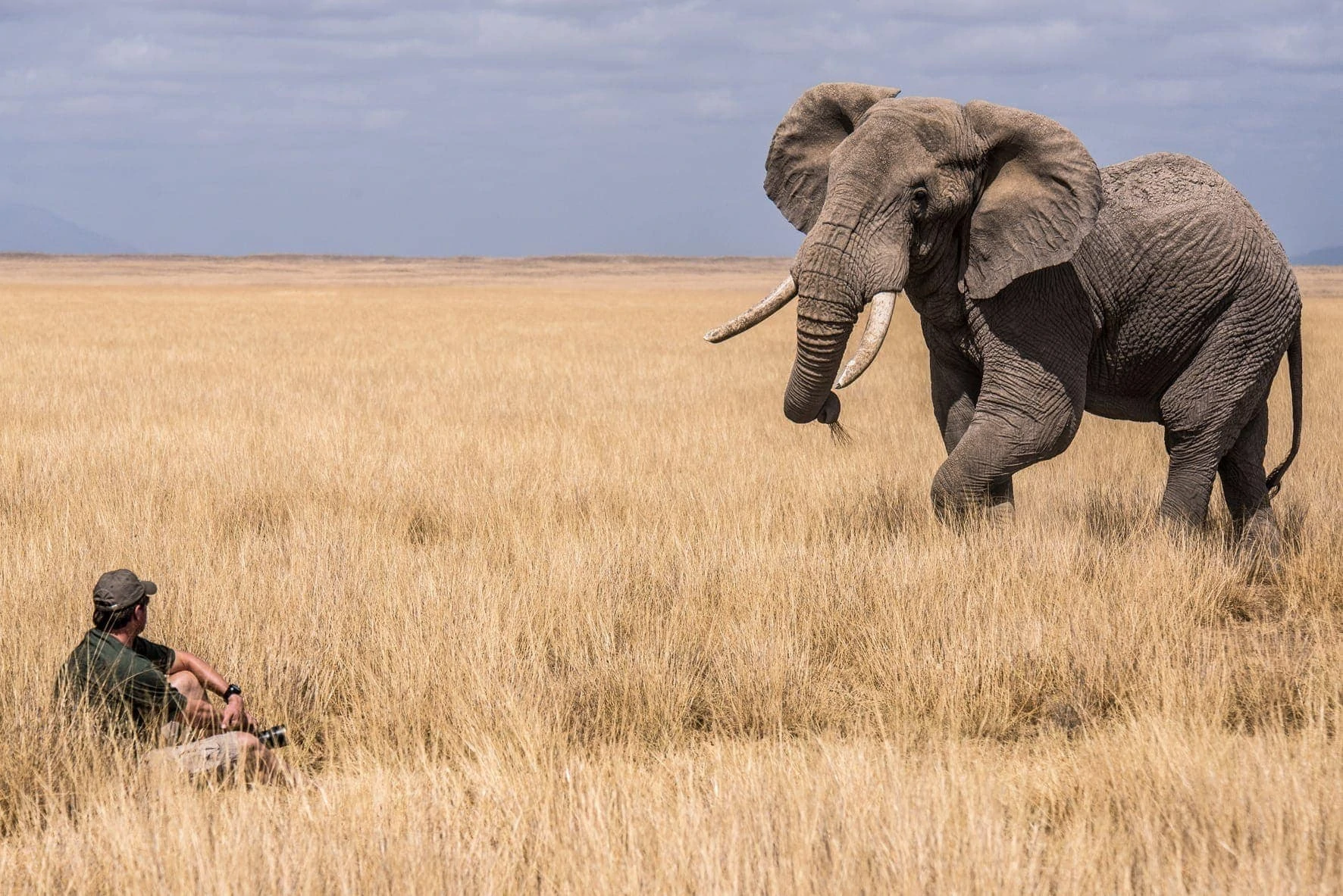 ethical wildlife encounter on safari