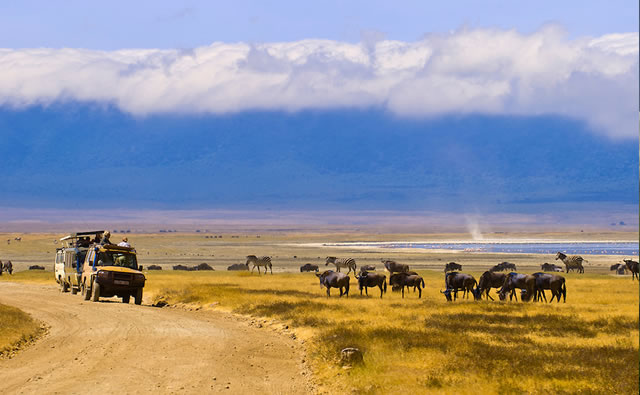 Ngorongoro Crater Game Drive