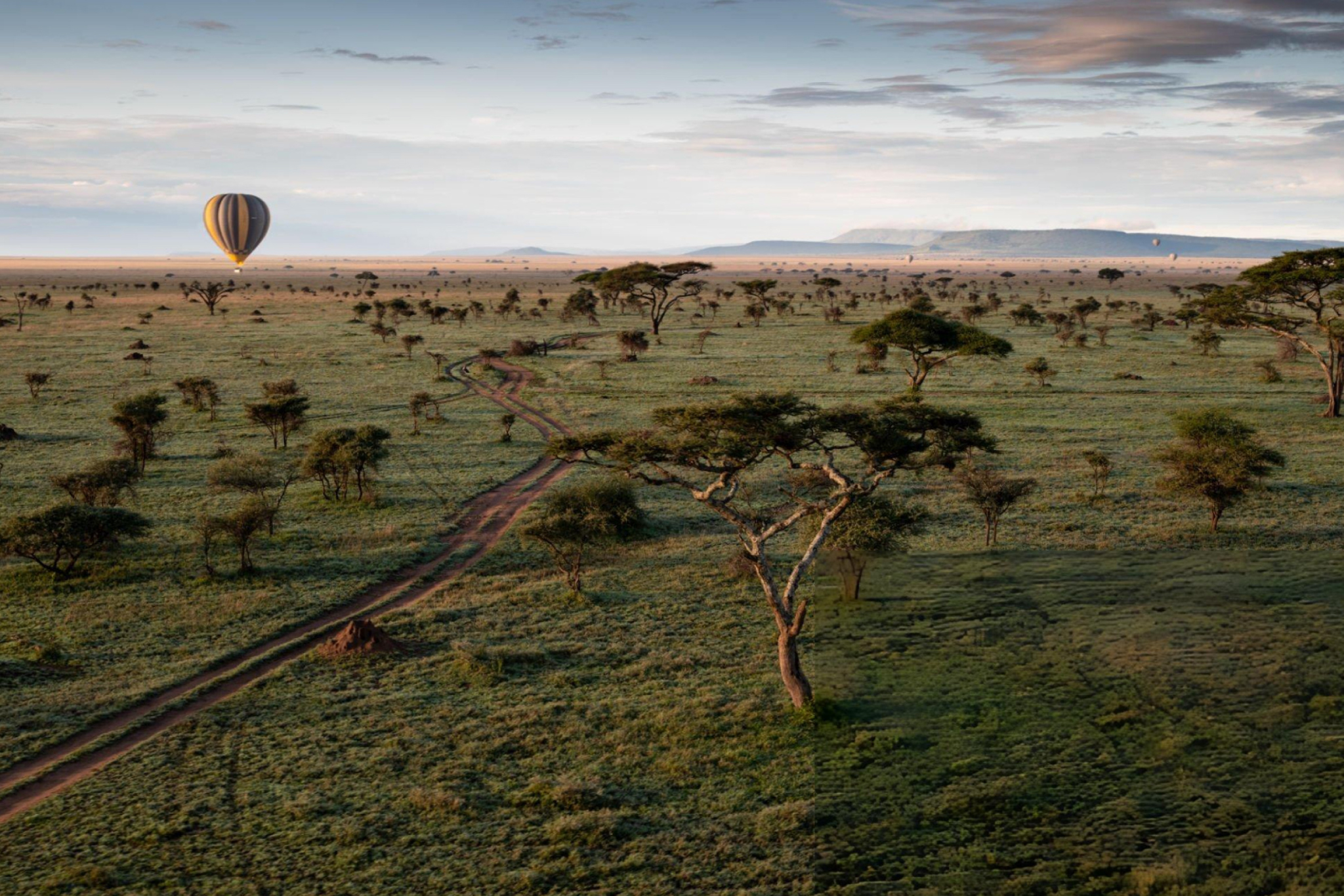 Serengeti Safari Extension