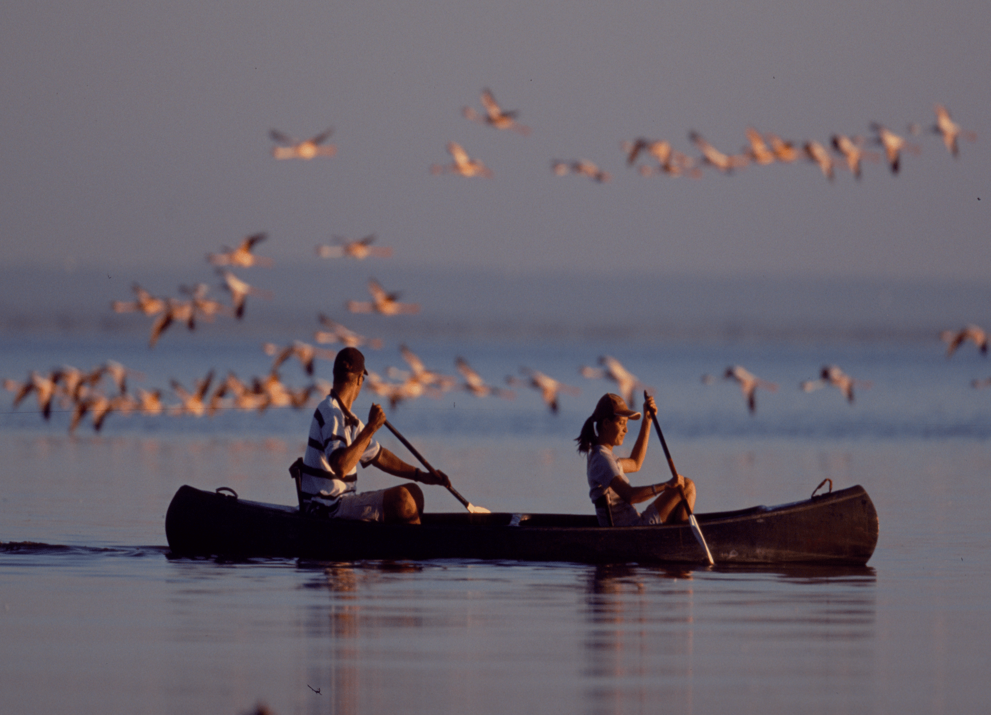 Traditional Canoeing