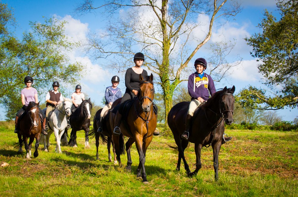 Horseback Riding and Bush Walks