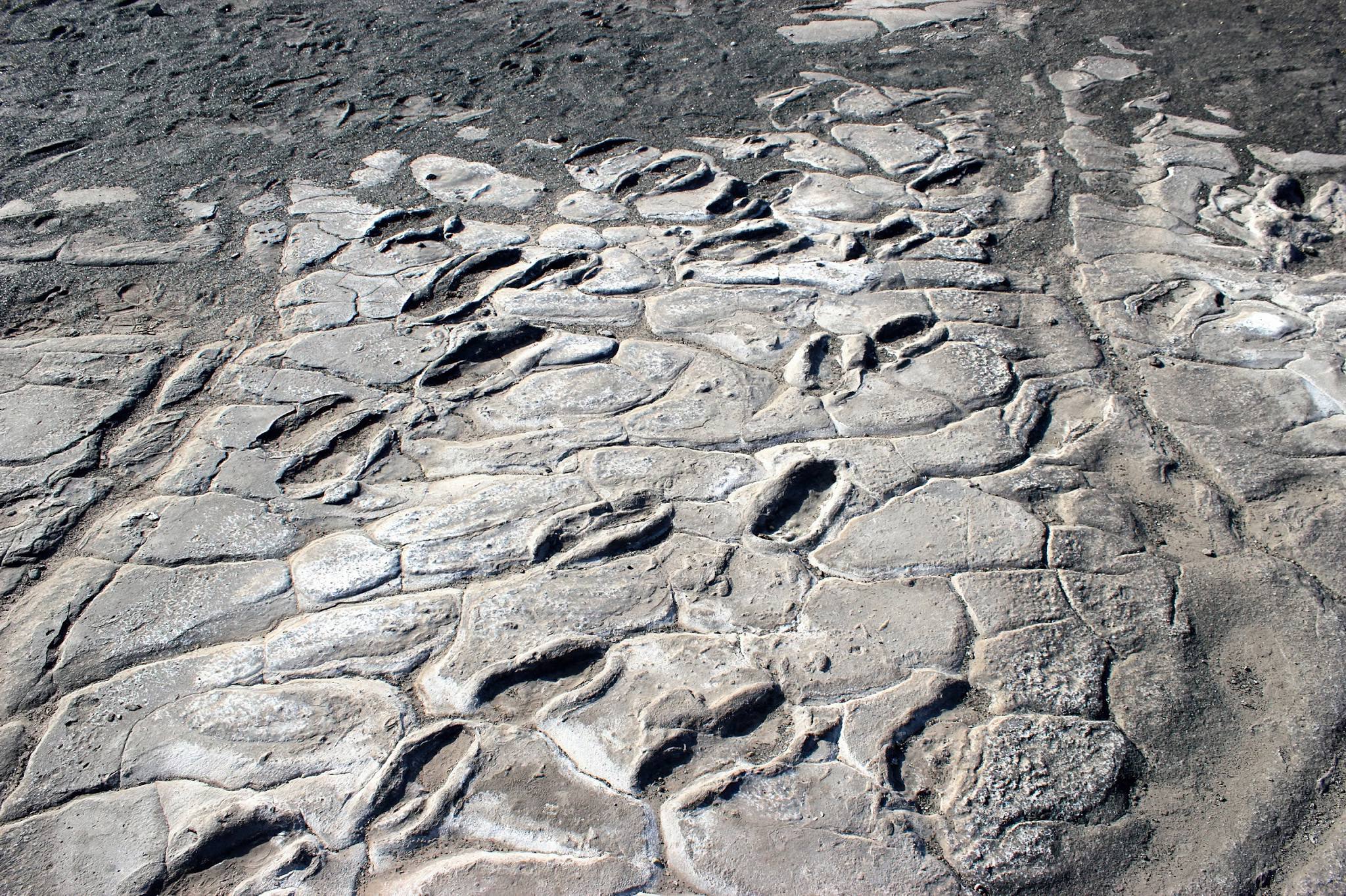 The Laetoli Footprint Trails