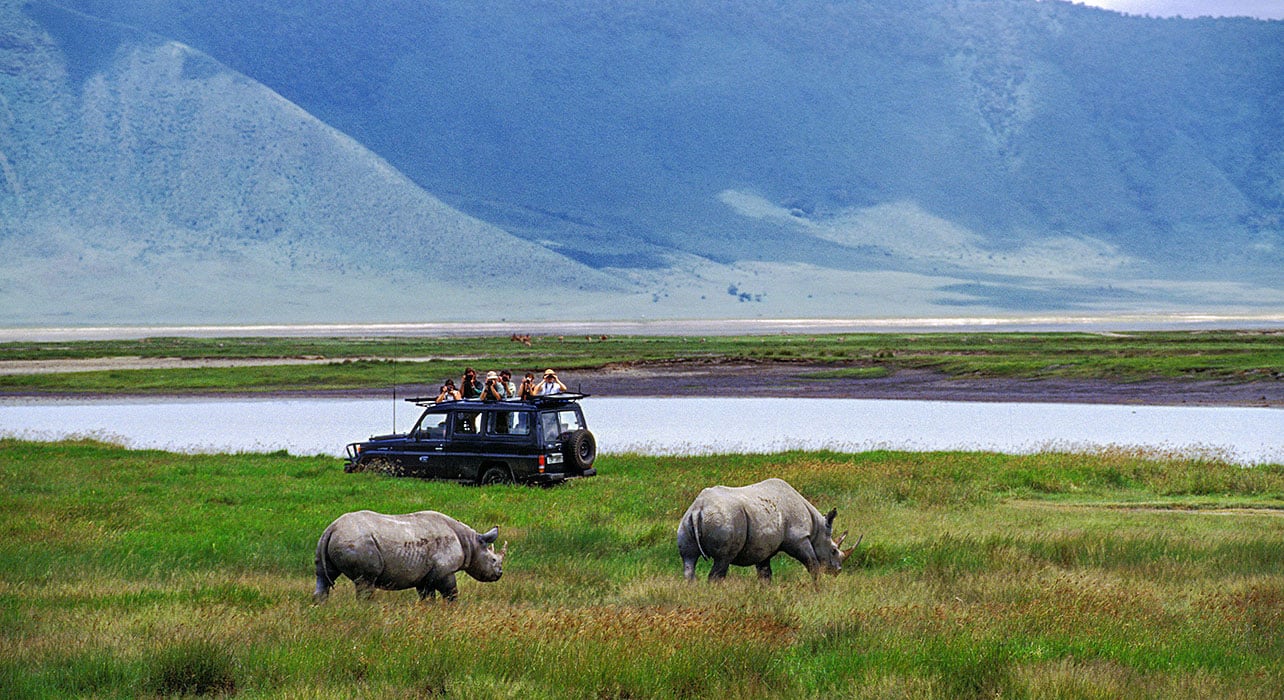 Ngorongoro Crater Day Trip 1