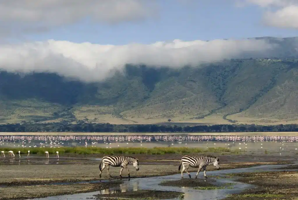 Ngorongoro crater day trip
