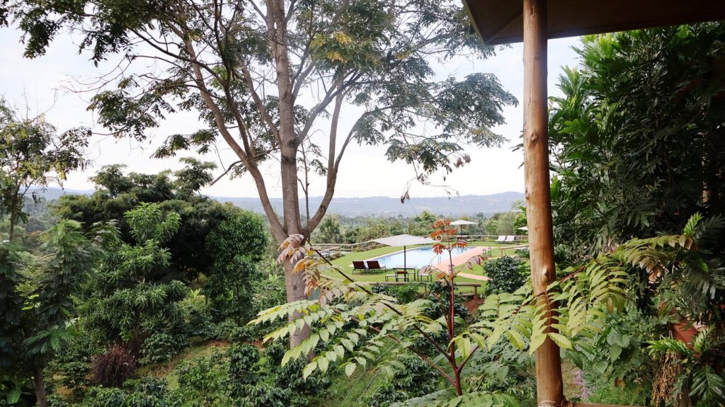 Baghayo Garden Suites – Mid-Range Lodge in Karatu, Tanzania