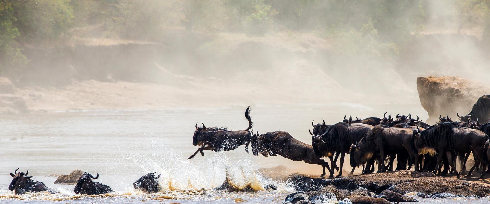 7-Day Serengeti Migration Immersion: