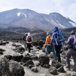 Kilimanjaro Day Hike