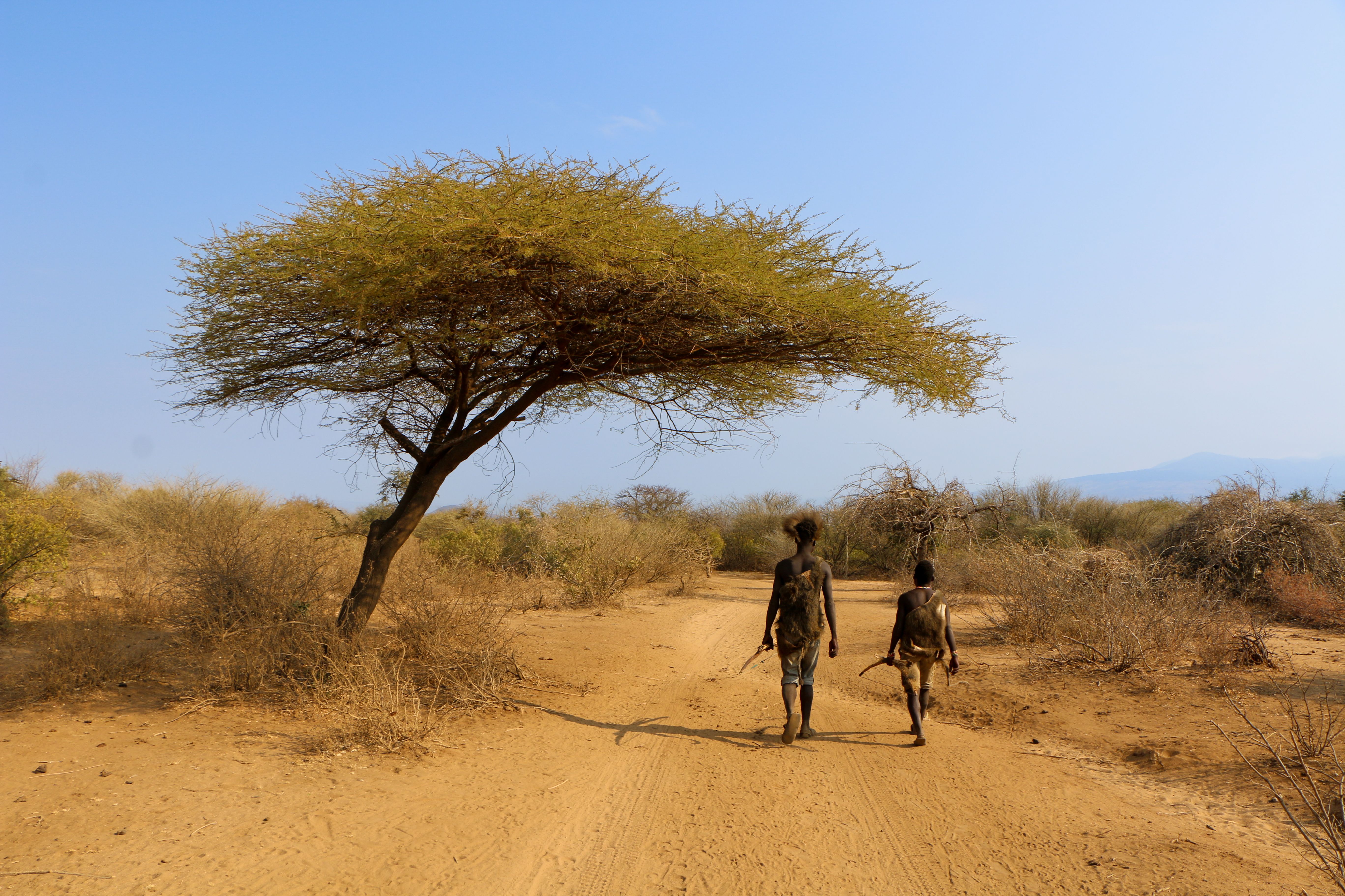 Meet the Hadzabe tribe, native to lake Eyasi