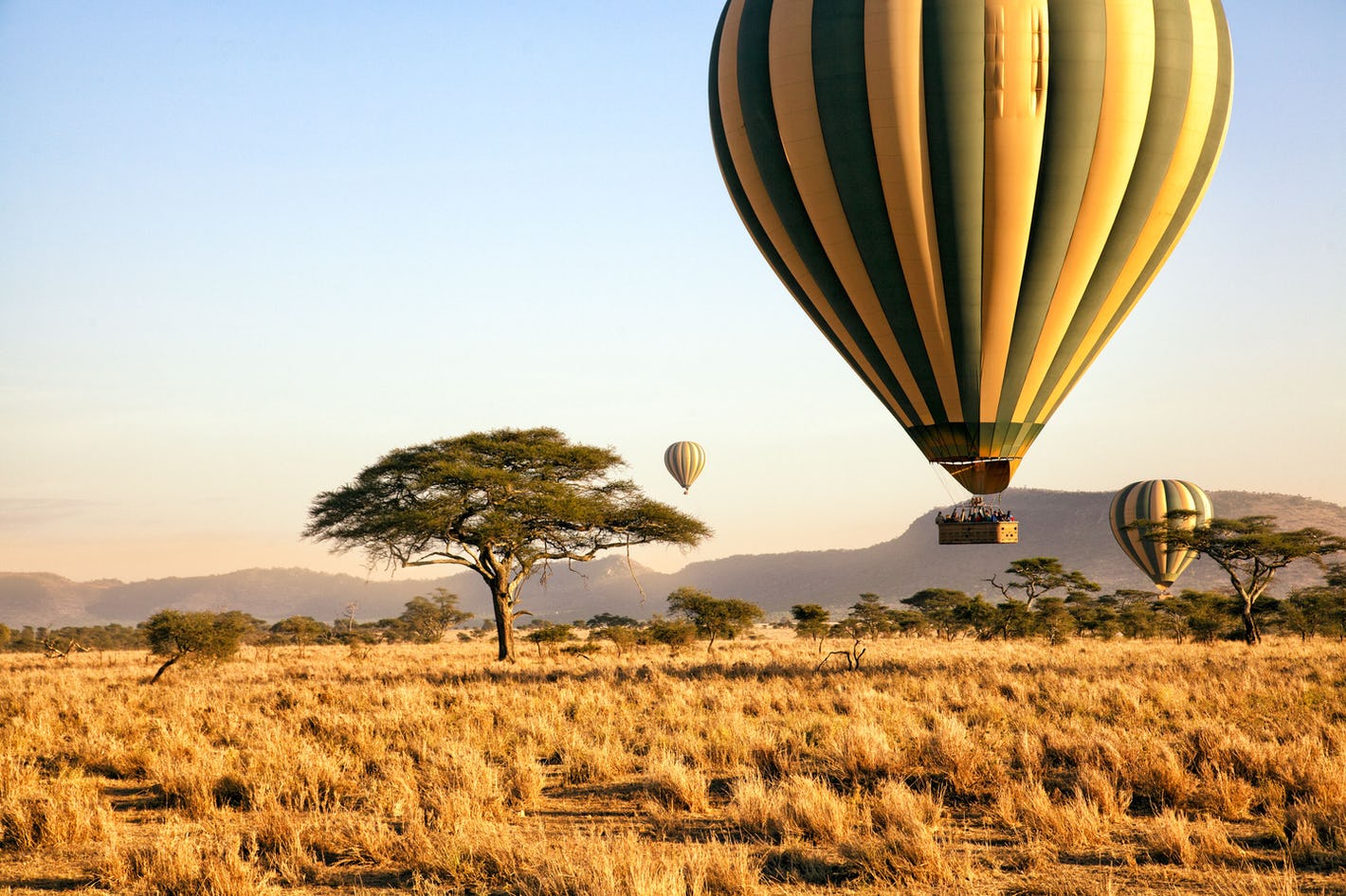 Hot Air Balloon Safaris
