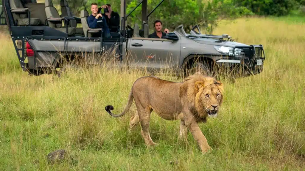 Game Drives