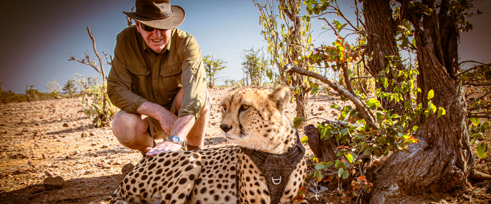 Wildlife and Conservation Hub thumbnail