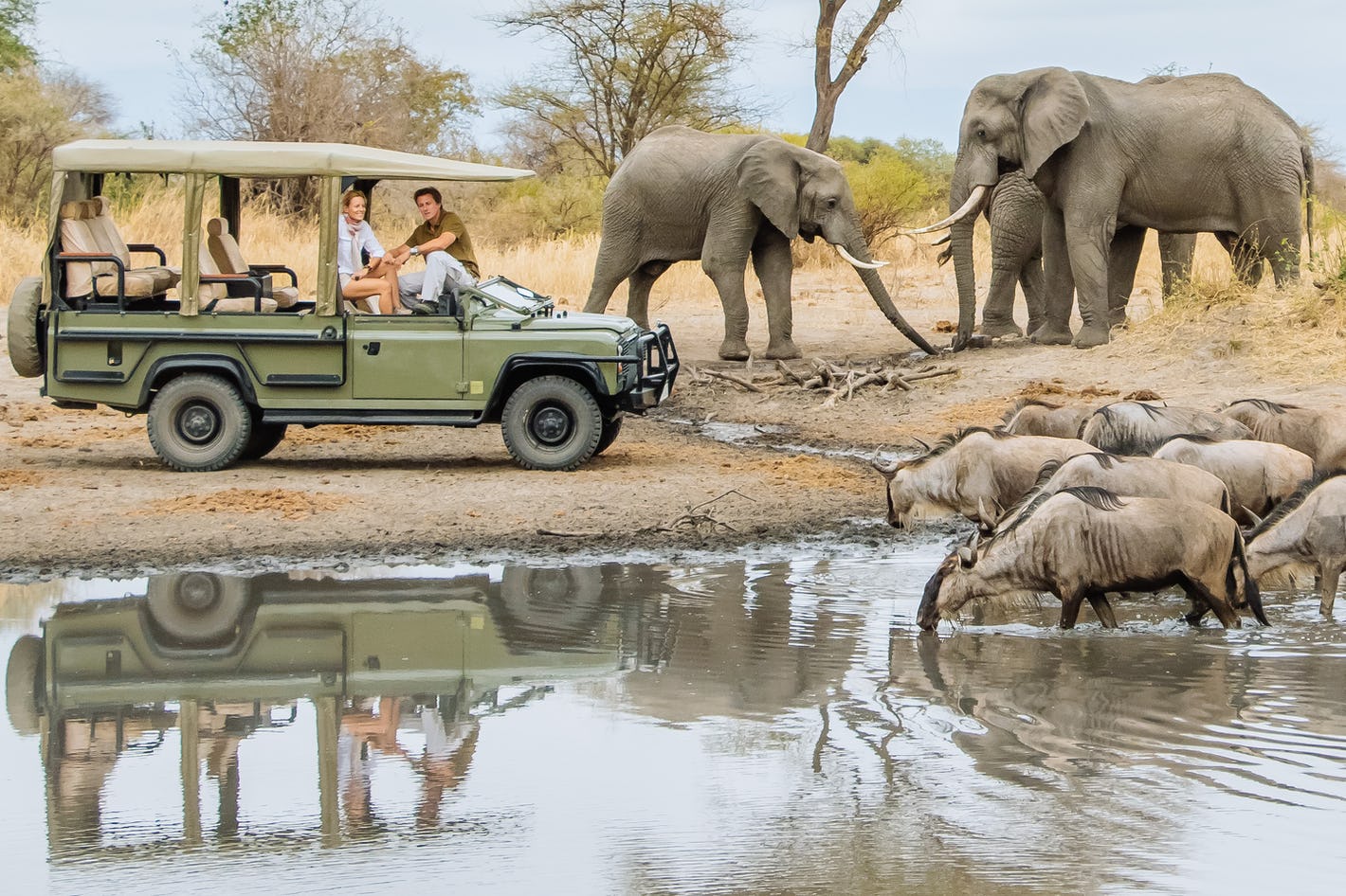  Classic Game Drives in Lake Manyara National Park