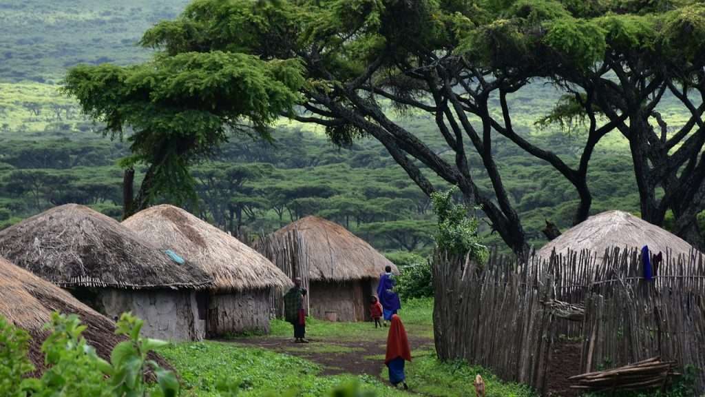 Cultural Village Visits & Plantation Tours