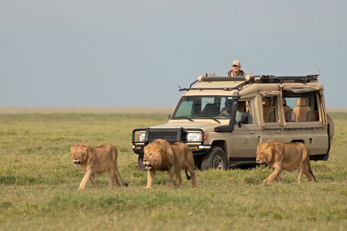 Game Drives