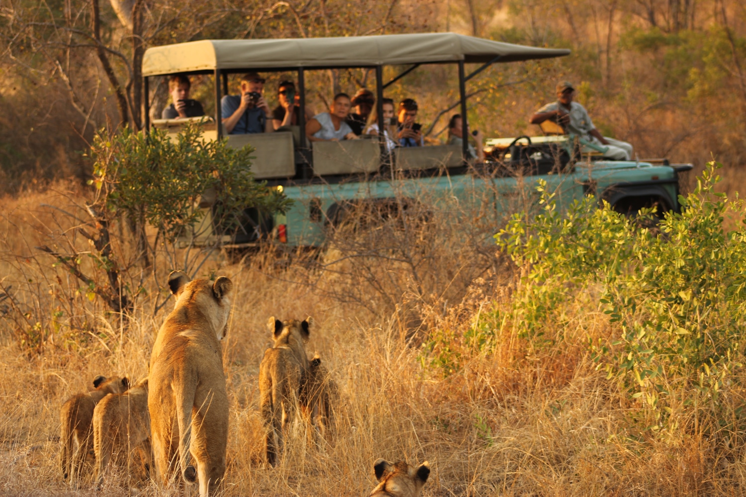 4x4 Game Drives