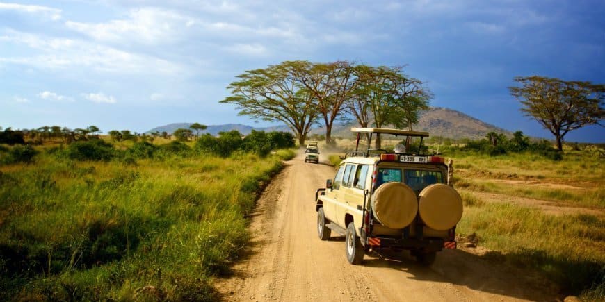 Day and Night Game Drives