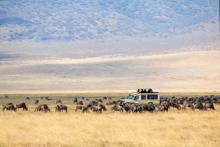 Game Drives to Ngorongoro Crater