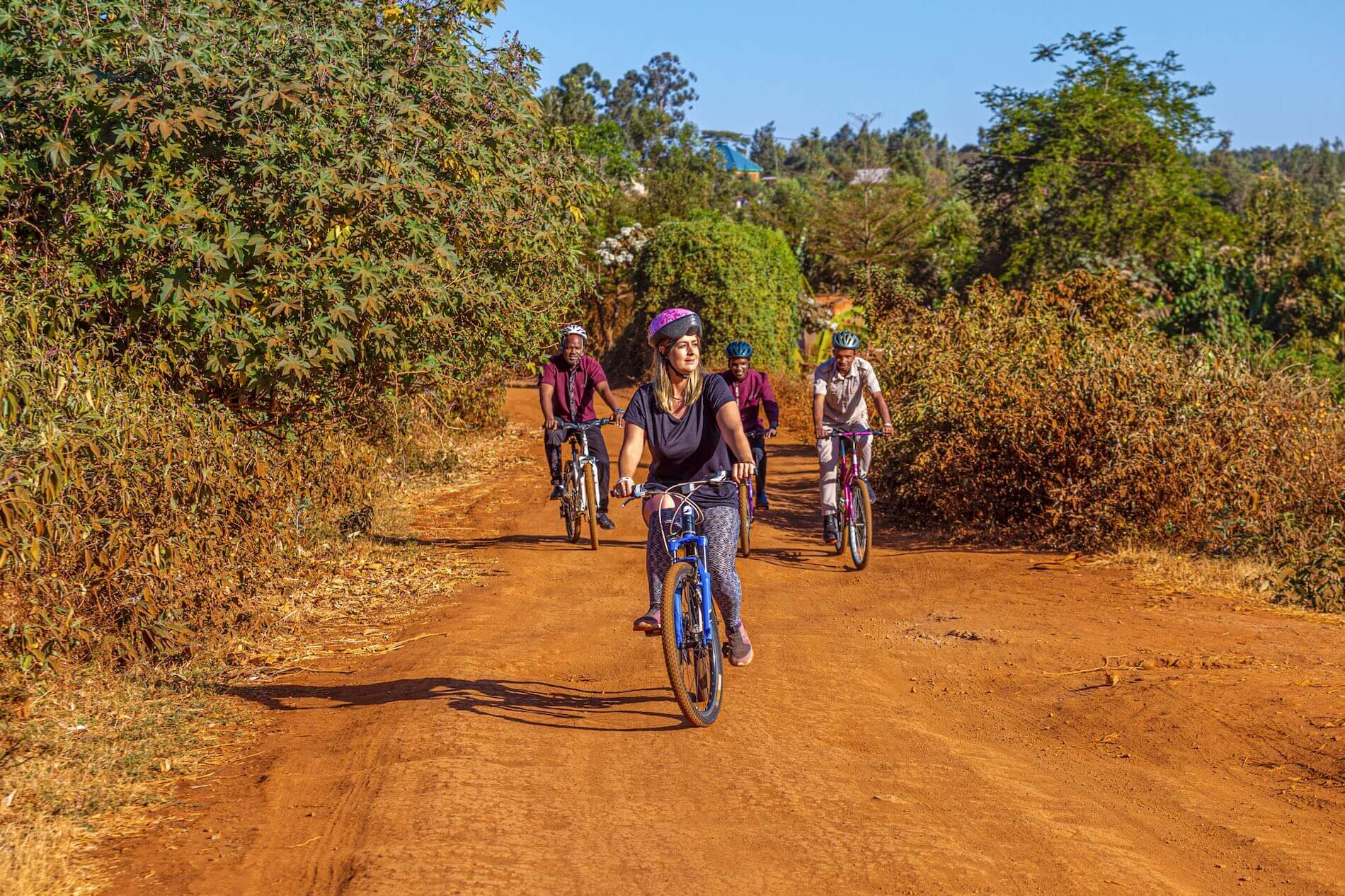 Guided Bicycle Tours