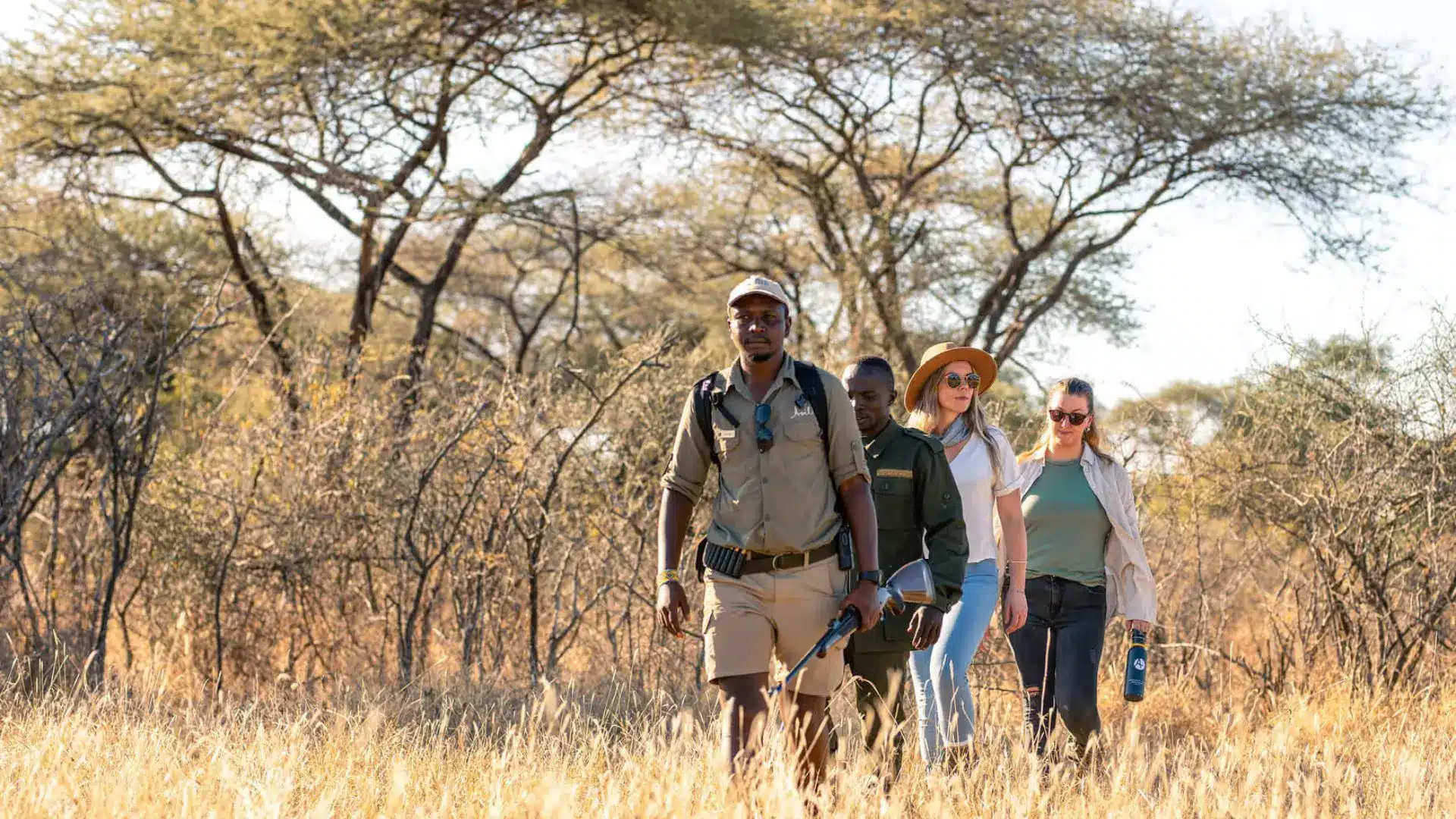 Guided Bush Walks