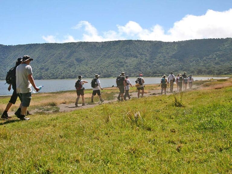 Ngorongoro Highlands Walking Safari: Routes and Experience