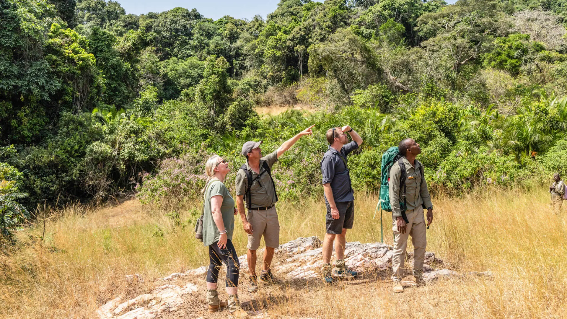 Walking Safaris