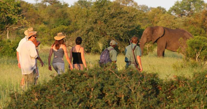 Guided Walking Safaris in Serengeti