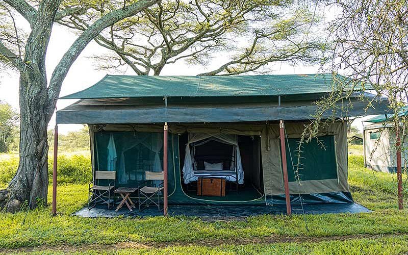 Heritage Mara Camp – Mid-Range Camp in North Serengeti, Tanzania
