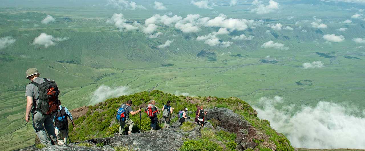 Guided Nature Bush Walks