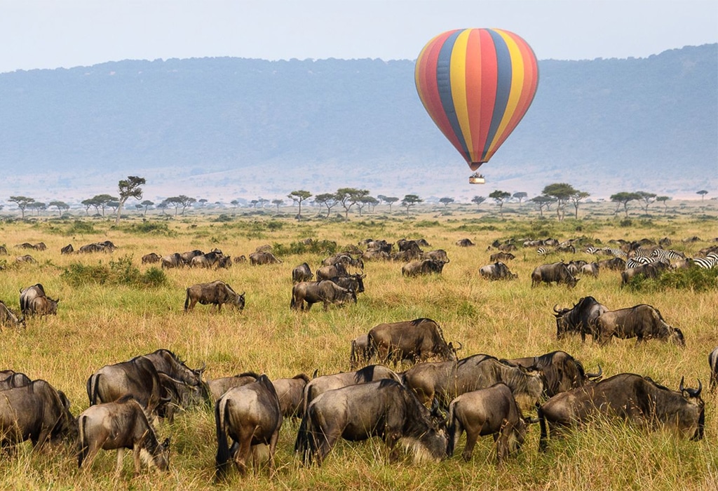 Hot Air Balloon Safaris