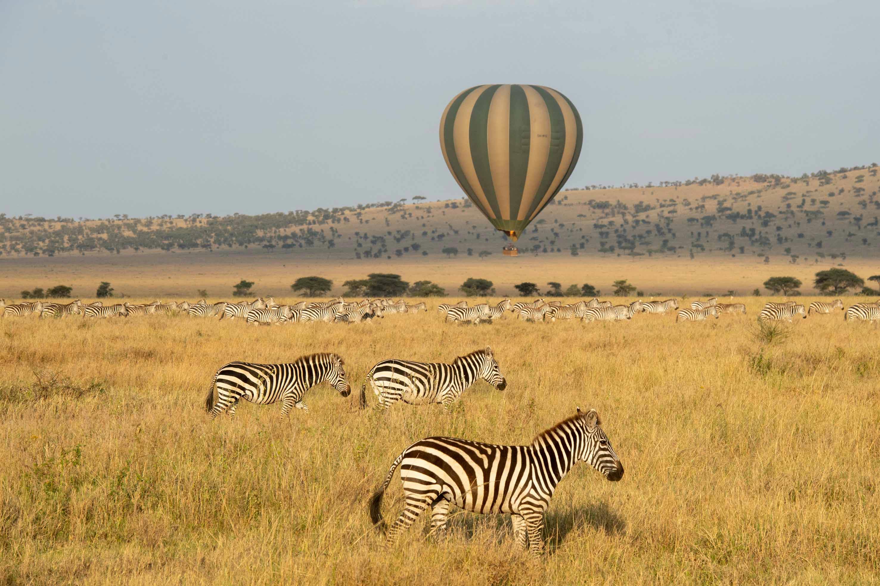 Hot Air Balloon Safaris