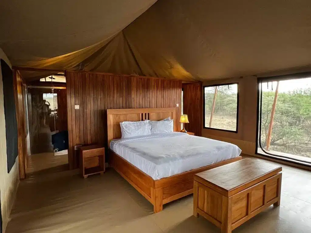 Into Wild Africa 4