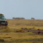 4x4 Crater Game Drives