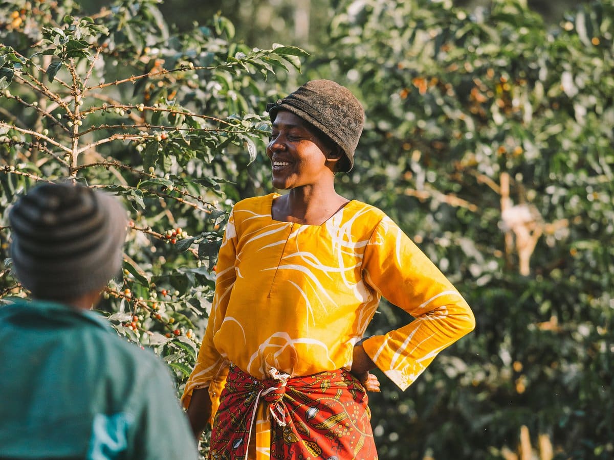 Local Village & Coffee Tours